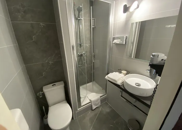 La Roseliere Hotel Saint-Quentin-Fallavier